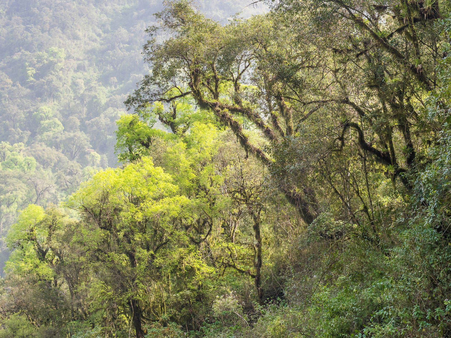 Los Sosa Nature Reserve, Argentina