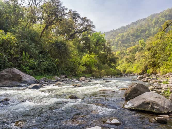 Los Sosa Nature Reserve