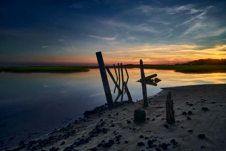 Marshland at Provincetown Causeway