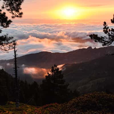 Massif du Canigou, France