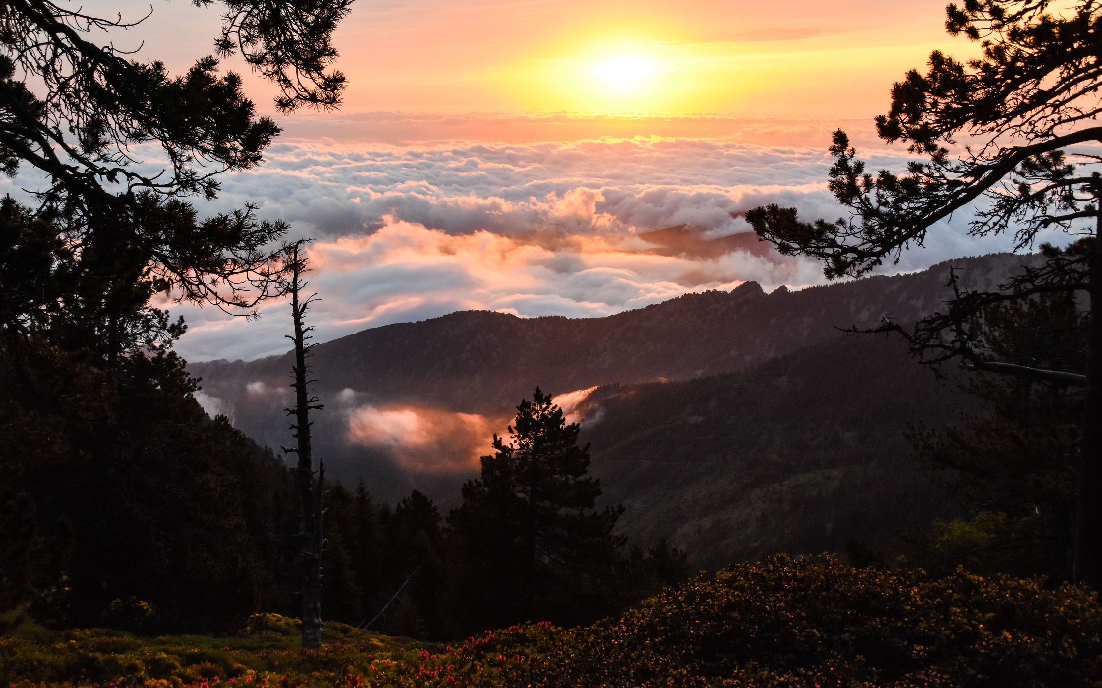 Massif du Canigou, France