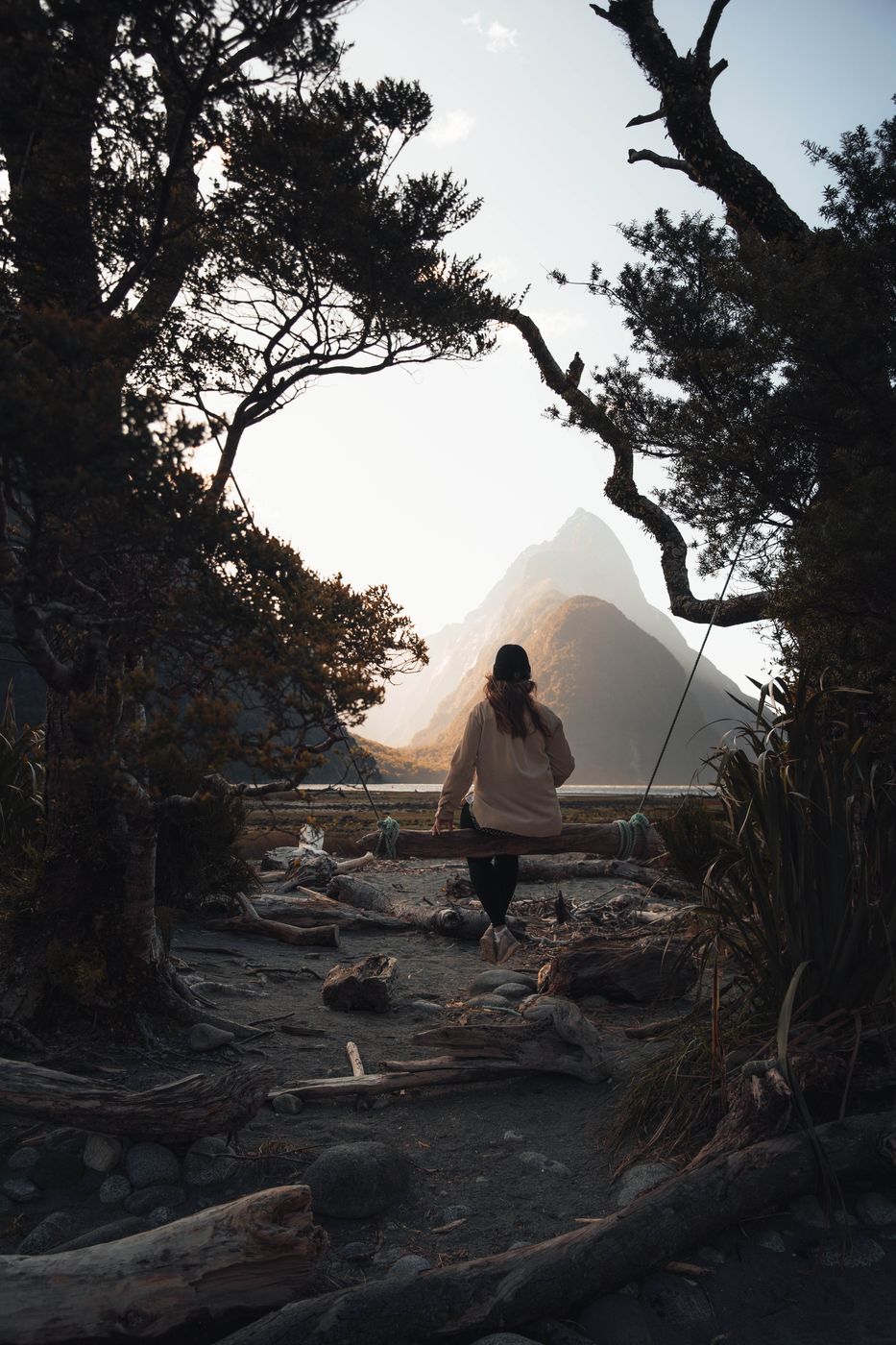 Milford sounds swing, New Zealand