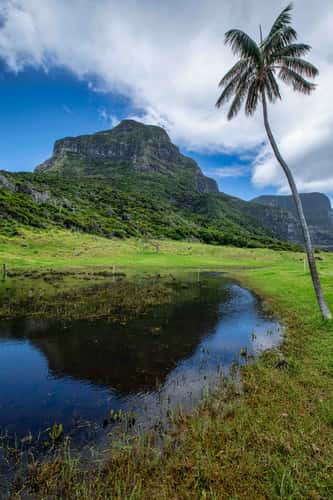 Mount Lidgbird, Lord Howe Island, New South Wales