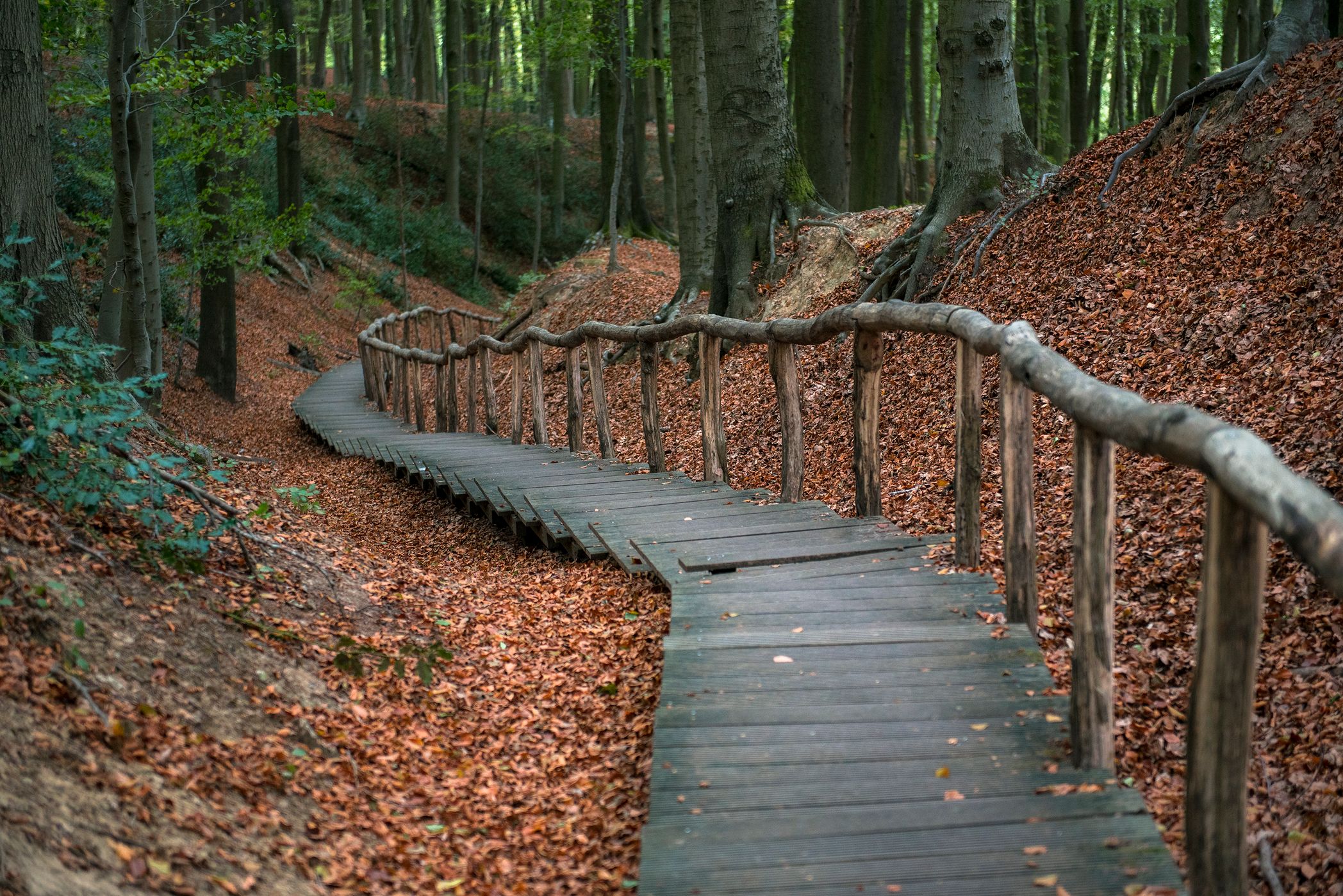 Neigembos, Belgium