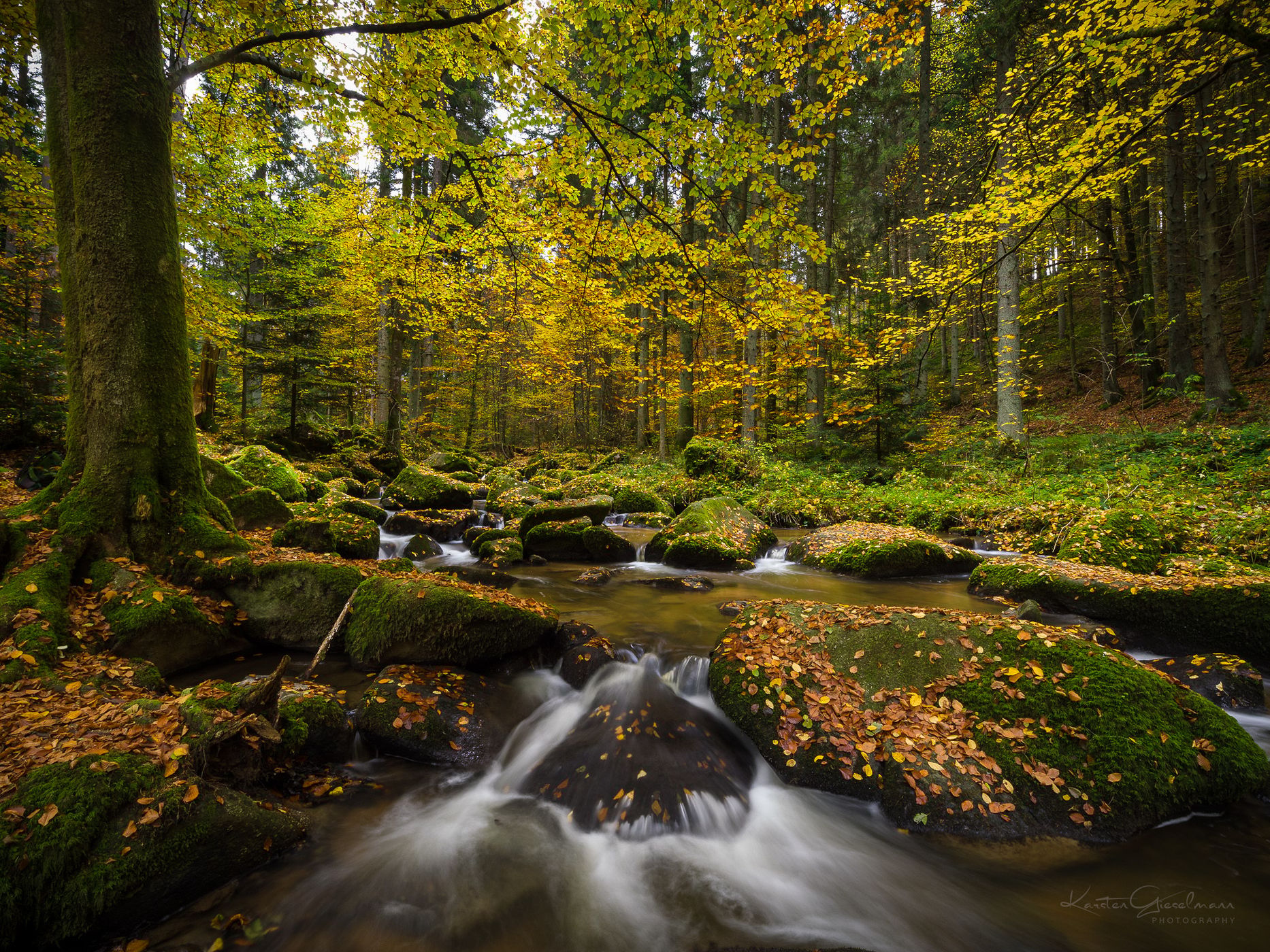Otterbachtal near Regensburg, Germany