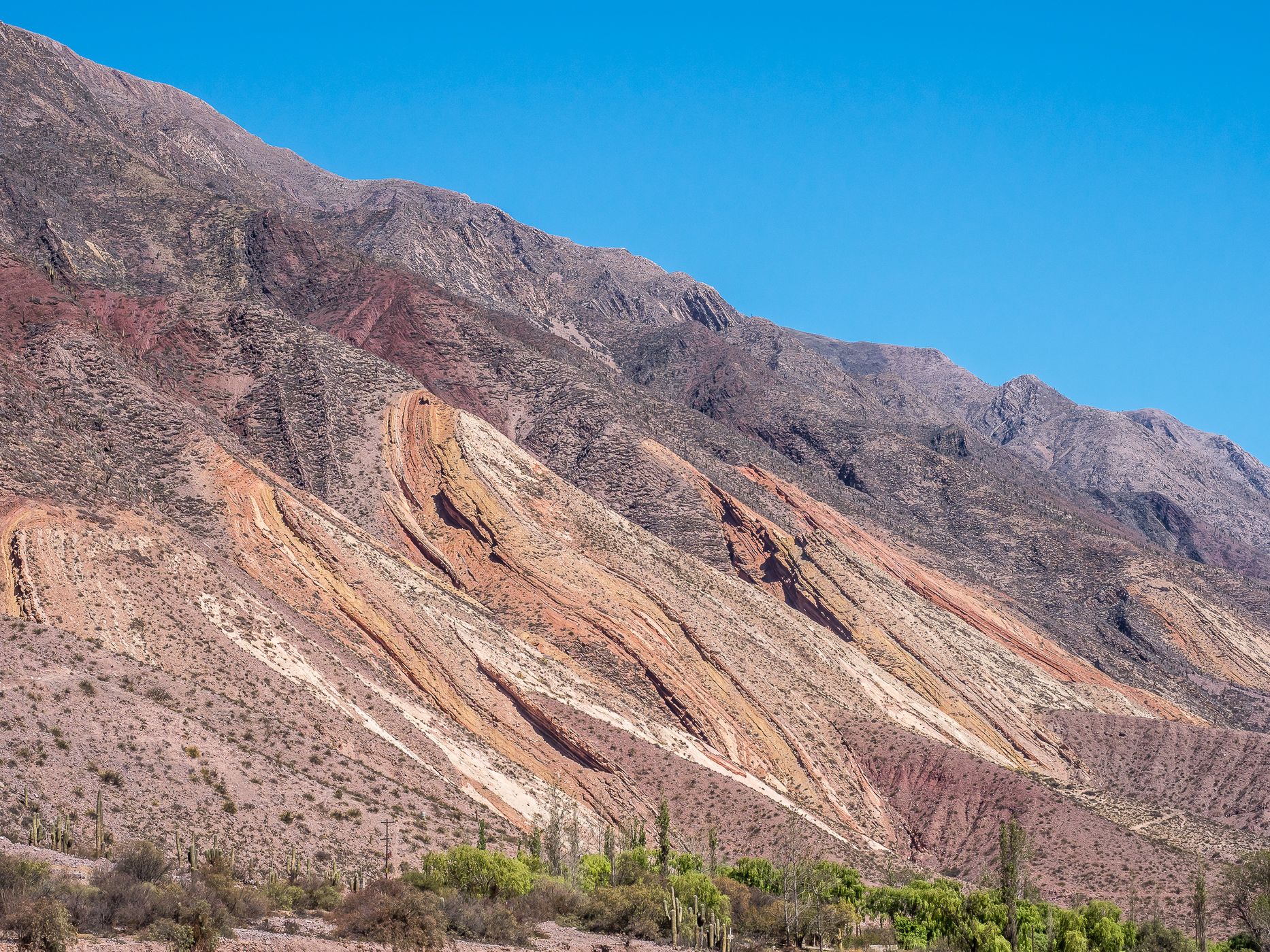 Paleta del Pintor, Argentina