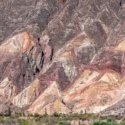 Paleta del Pintor, Argentina