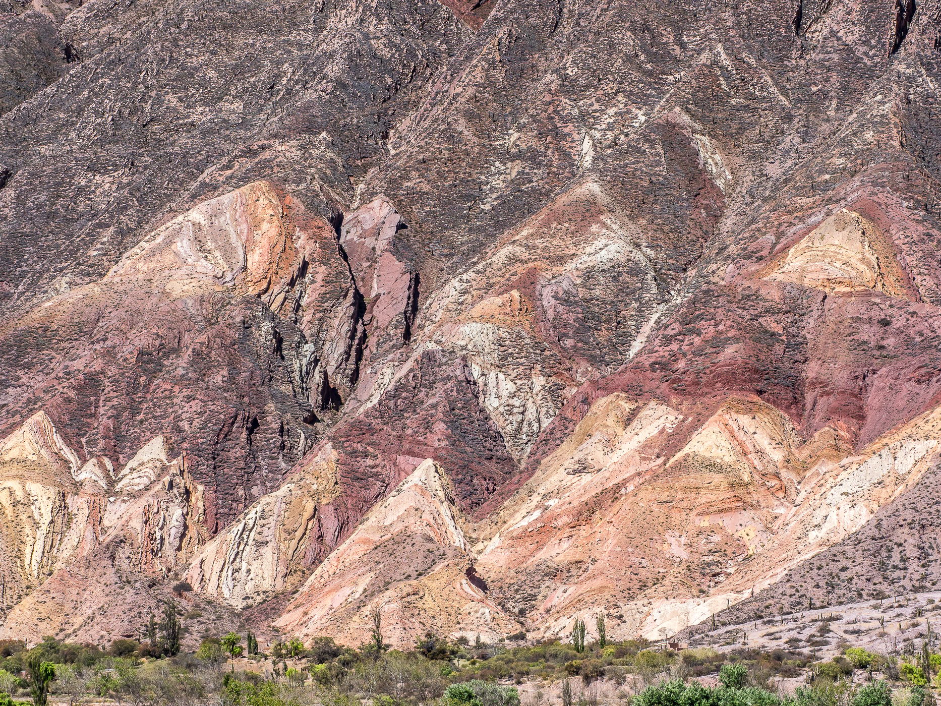Paleta del Pintor, Argentina