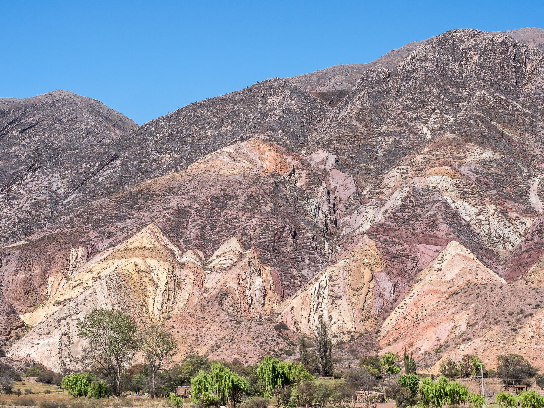 Paleta del Pintor, Argentina