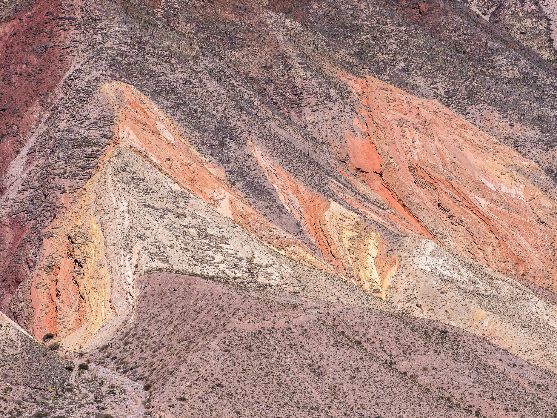 Paleta del Pintor, Argentina