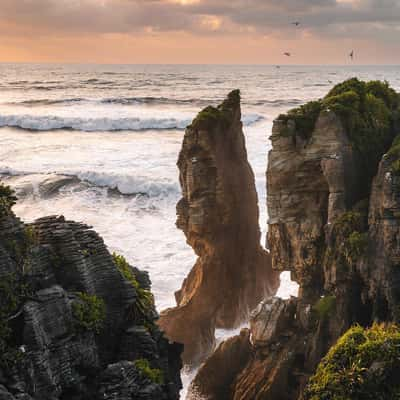 Pancake Rocks, New Zealand