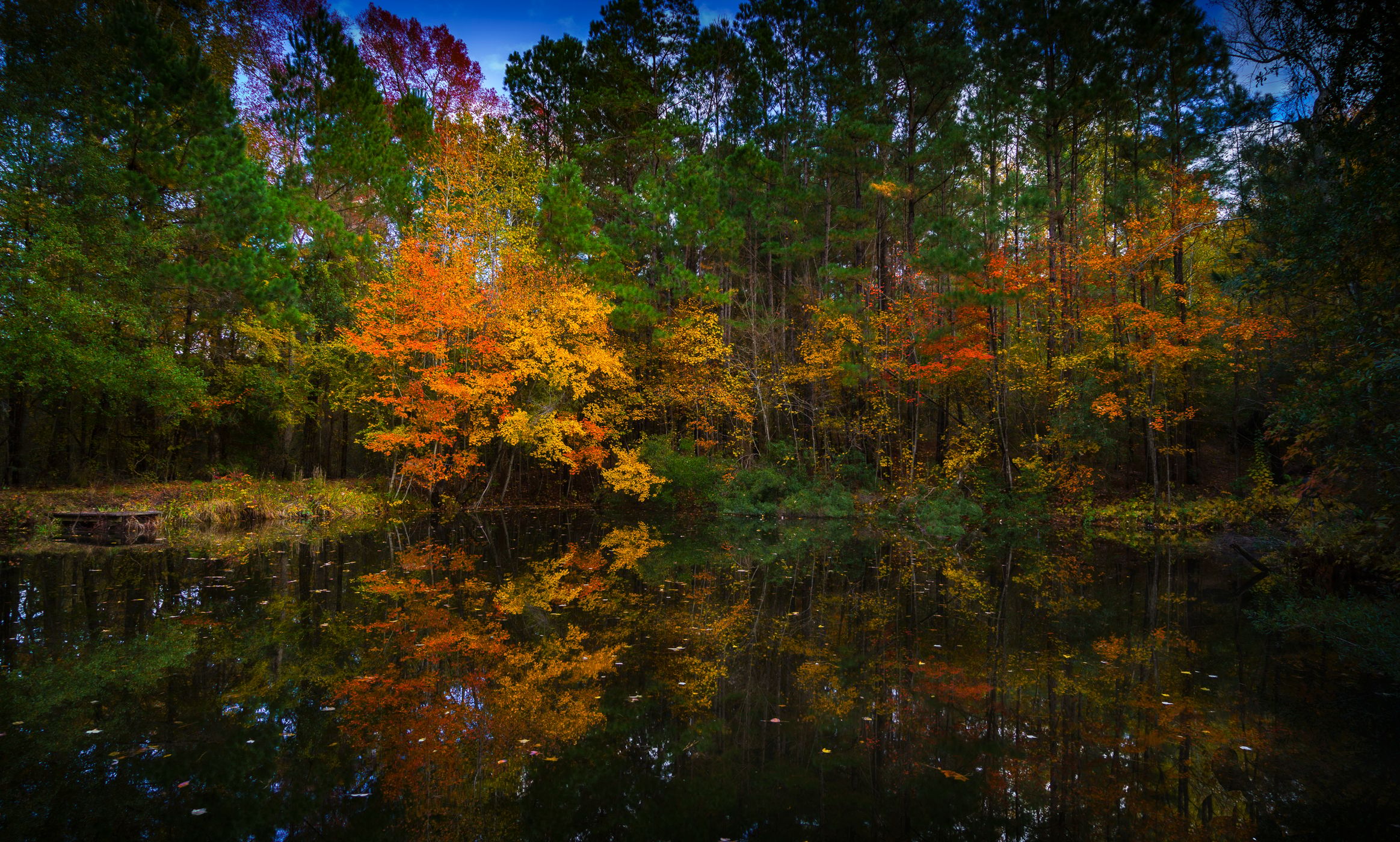 Pond in Grapeland Texas, USA