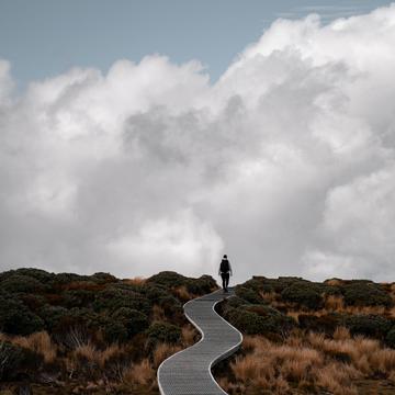 Pouakai Crossing Trail, New Zealand