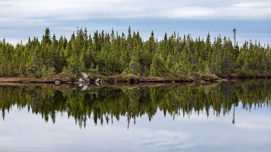 Random view near Baie Verte, Newfoundland