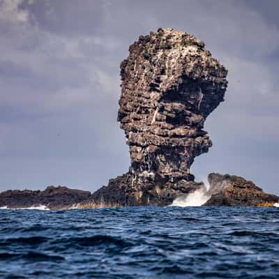 Rock formation, Balls Pyramid, Lord Howe Island, Australia