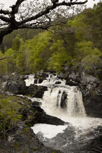 Rogie Falls