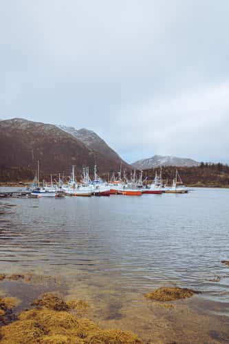 Small harbour in mountainous area