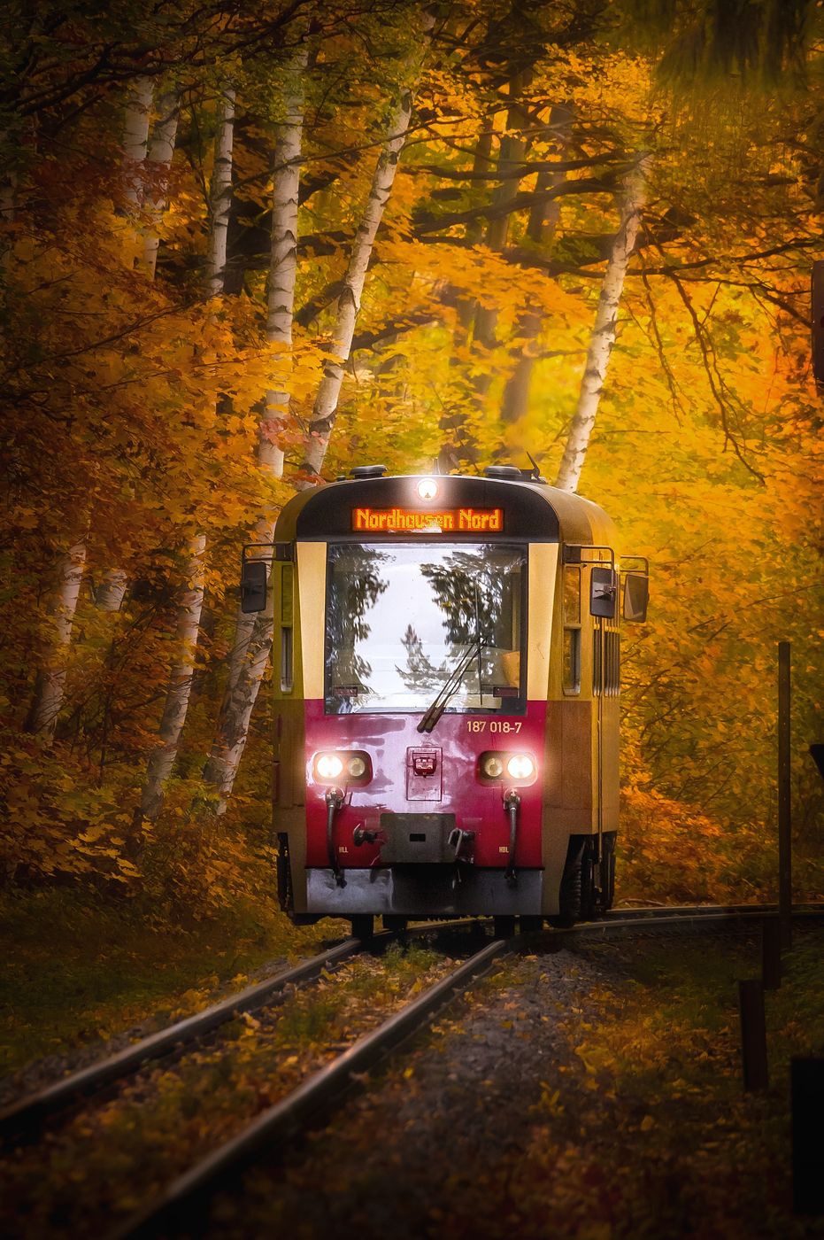 Steinerne Renne Train Station, Germany