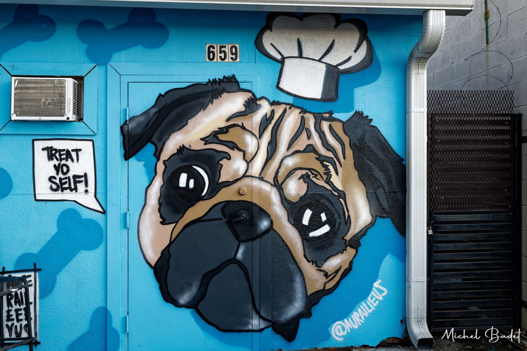 Street Art in St Petersburg, Florida, USA