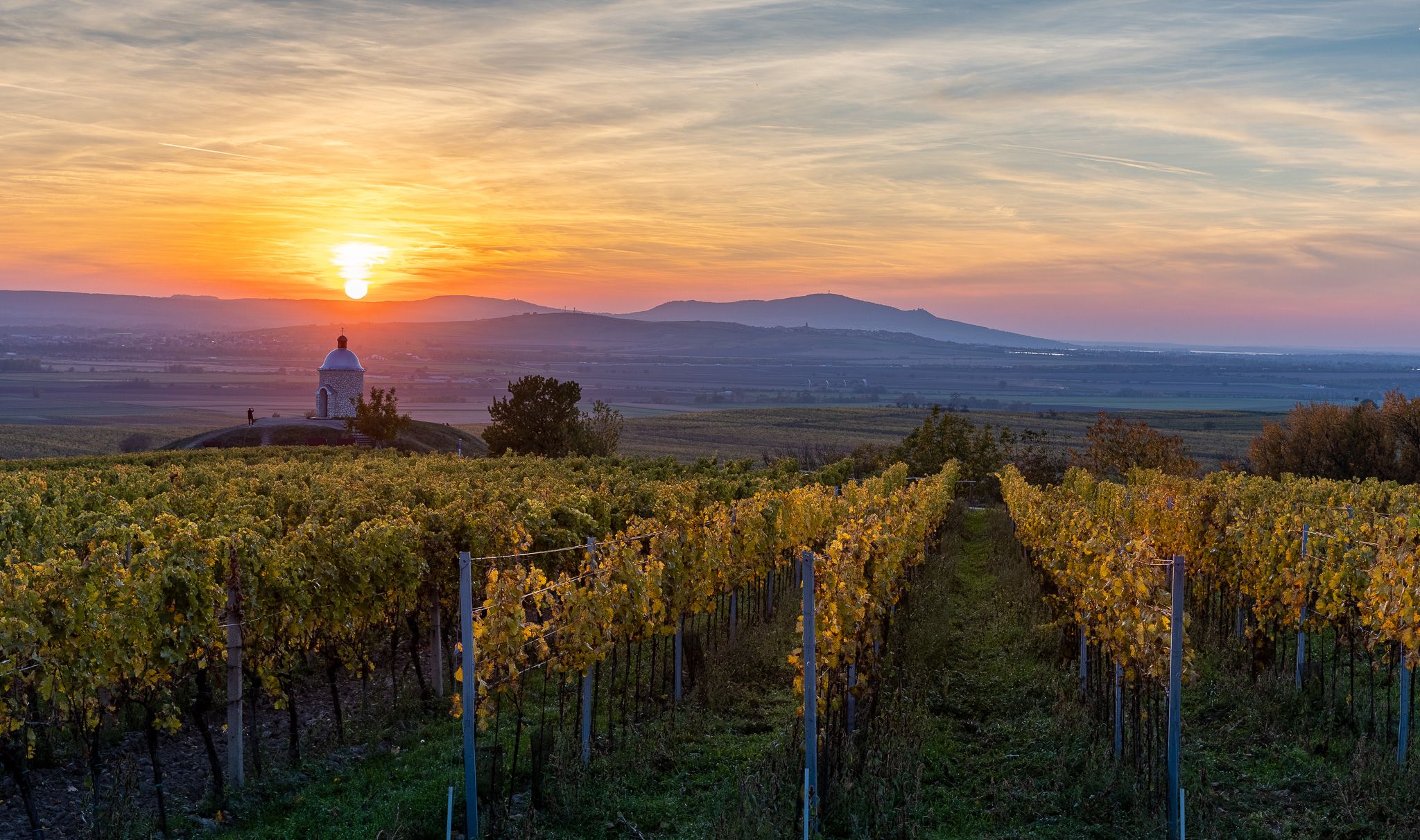 Sunset above vineyards, Czech Republic