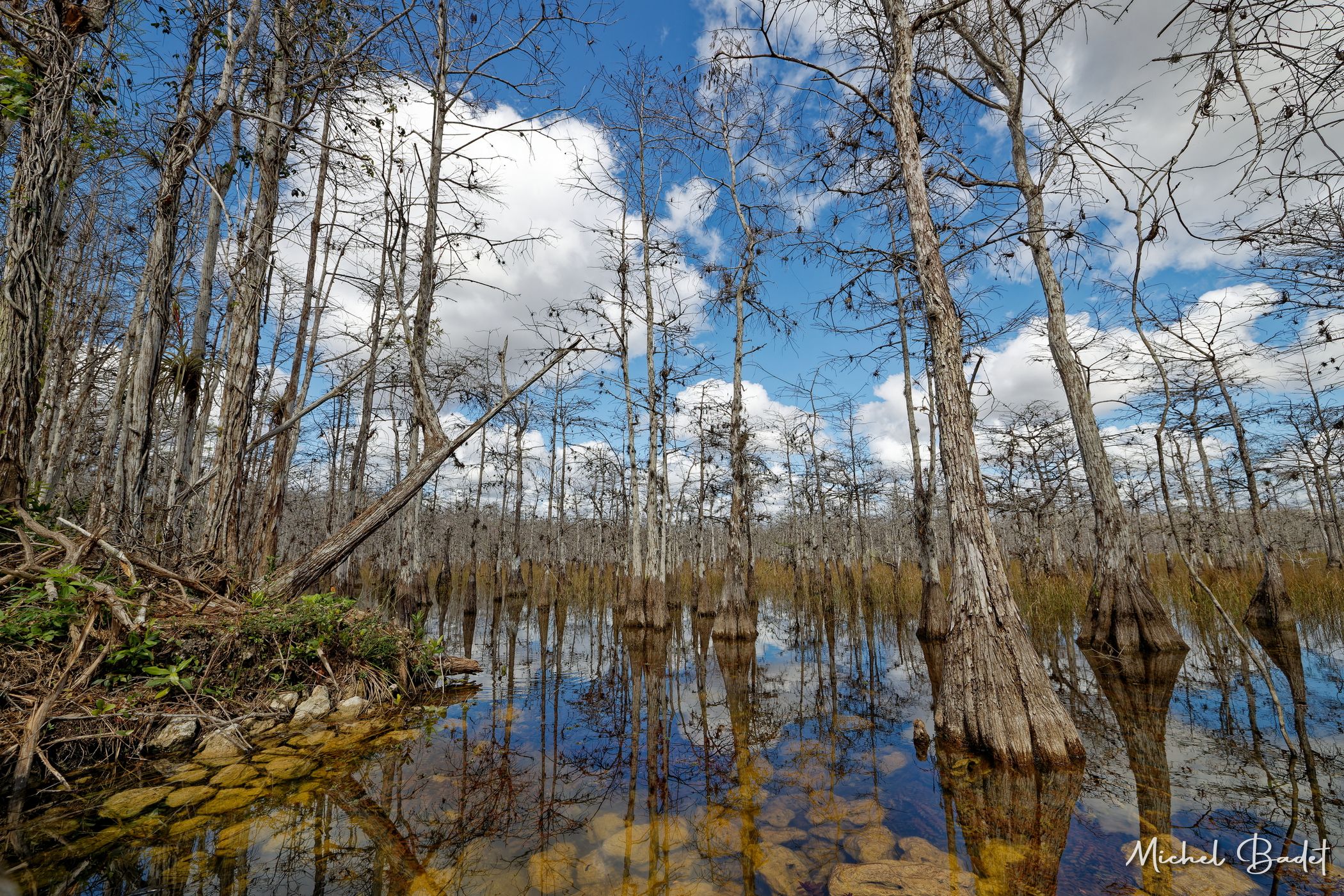 The Loop Road in the North of the Everglades, USA