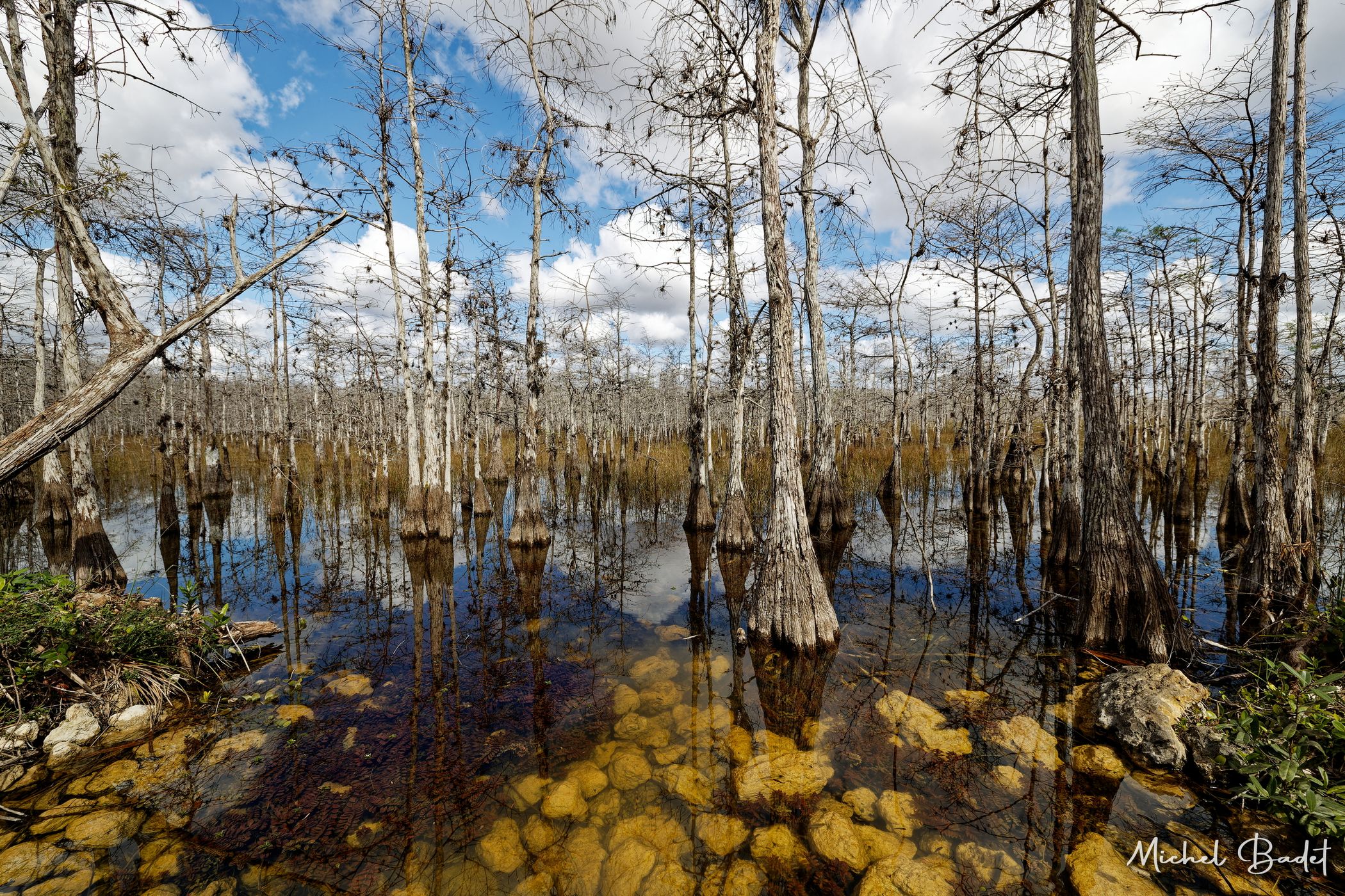 The Loop Road in the North of the Everglades, USA