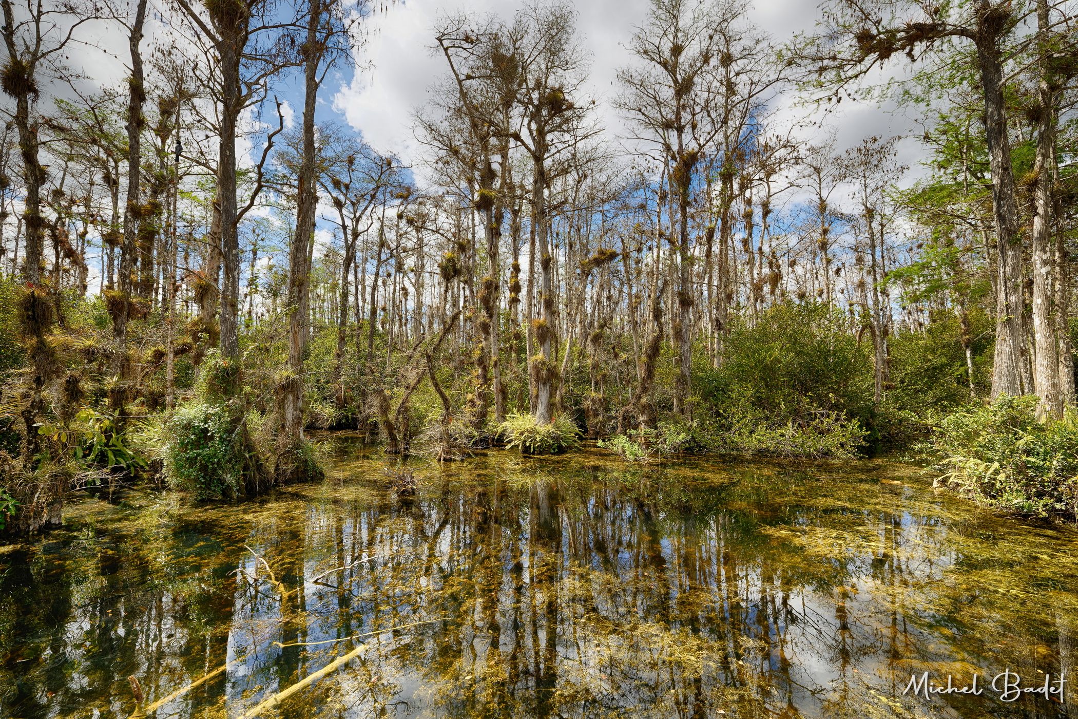 The Loop Road in the North of the Everglades, USA