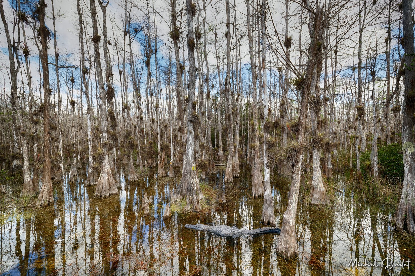 The Loop Road in the North of the Everglades, USA