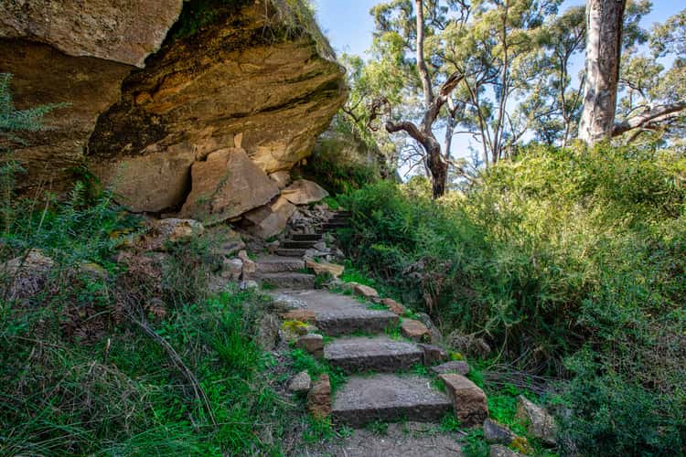 The track, Drip Gorge, Ulan, New South Wales