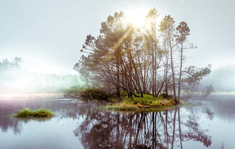 Tjelltjøn