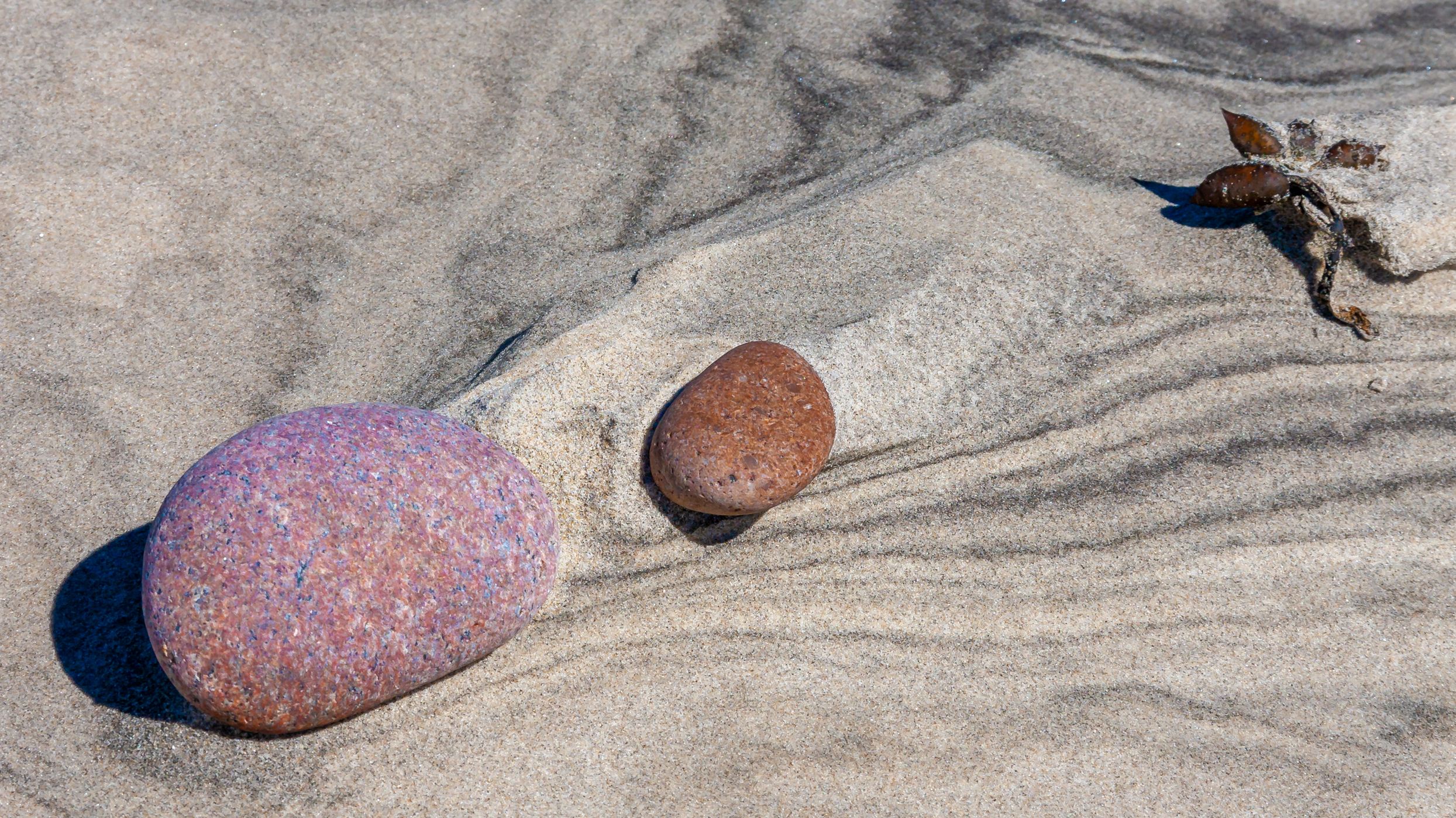 Uggerby strand, Denmark