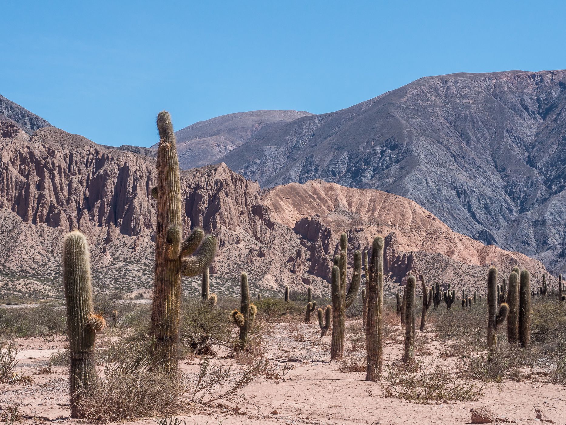 Valle del Incahuasi, Argentina