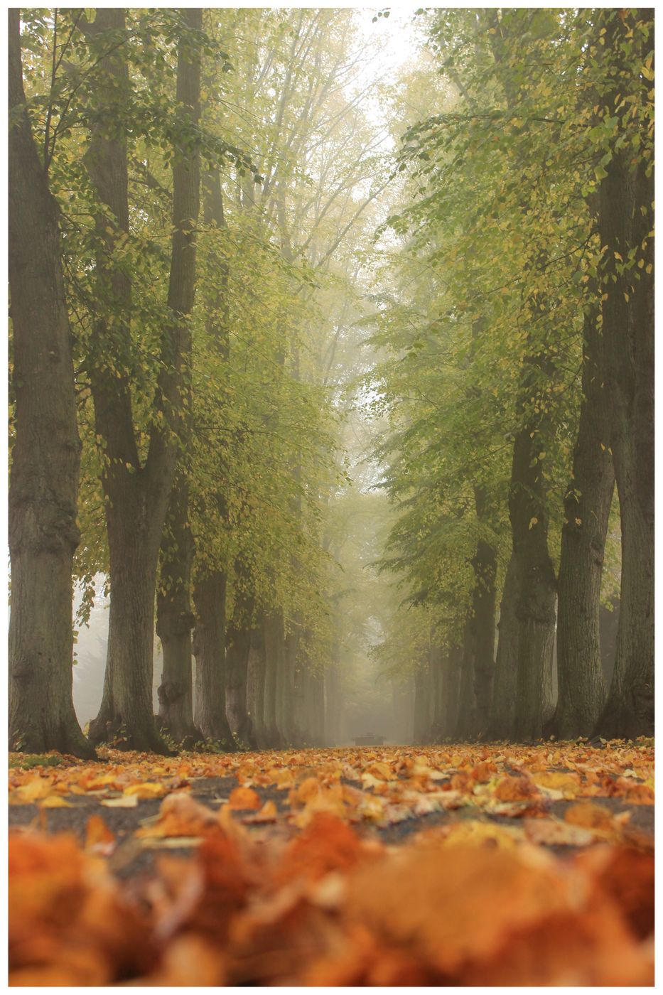 Vestre Cemetery, Copenhagen, Denmark