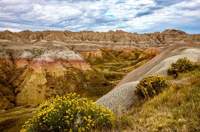Yellow Hills of the Badlands