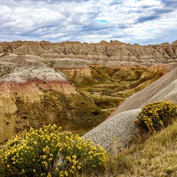 Yellow Hills of the Badlands, USA