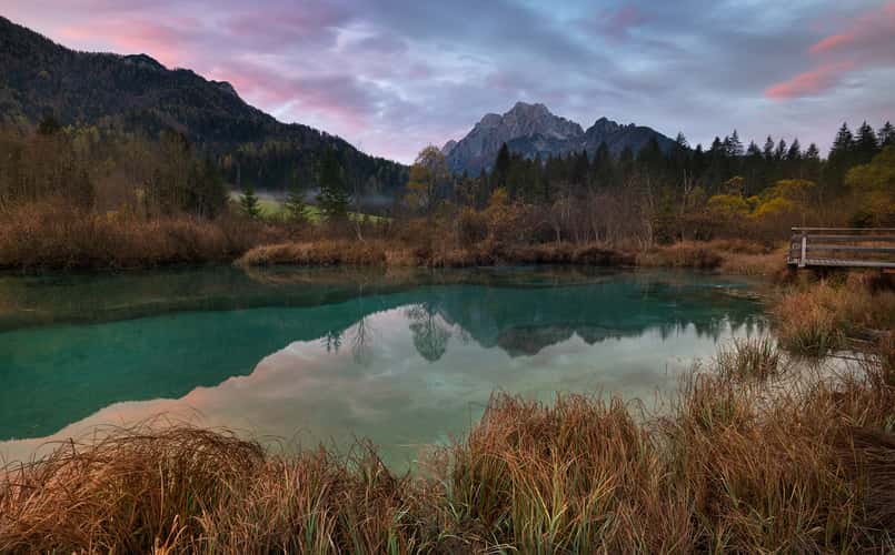 Zelenci Nature Reserve