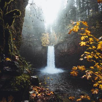 Abiqua Falls from above, USA