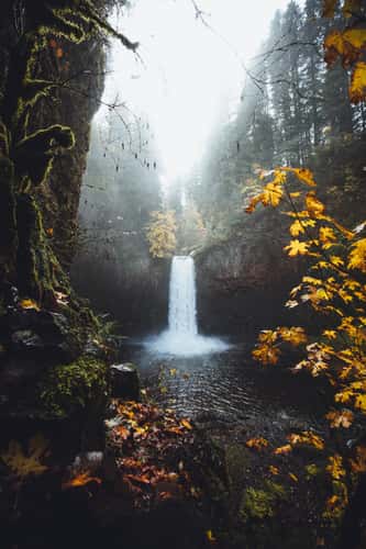 Abiqua Falls from above