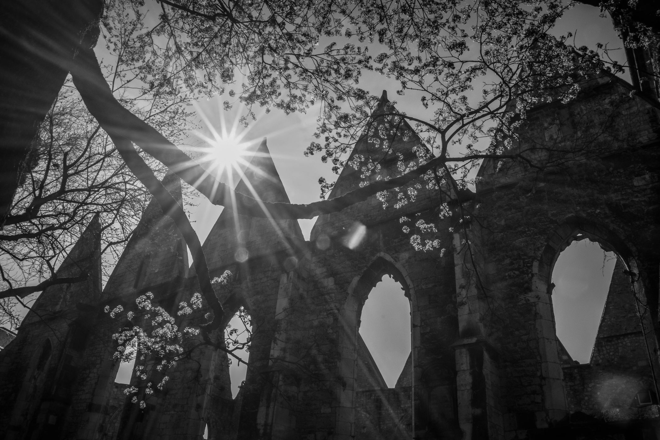Aegidienkirche, Hanover, Germany