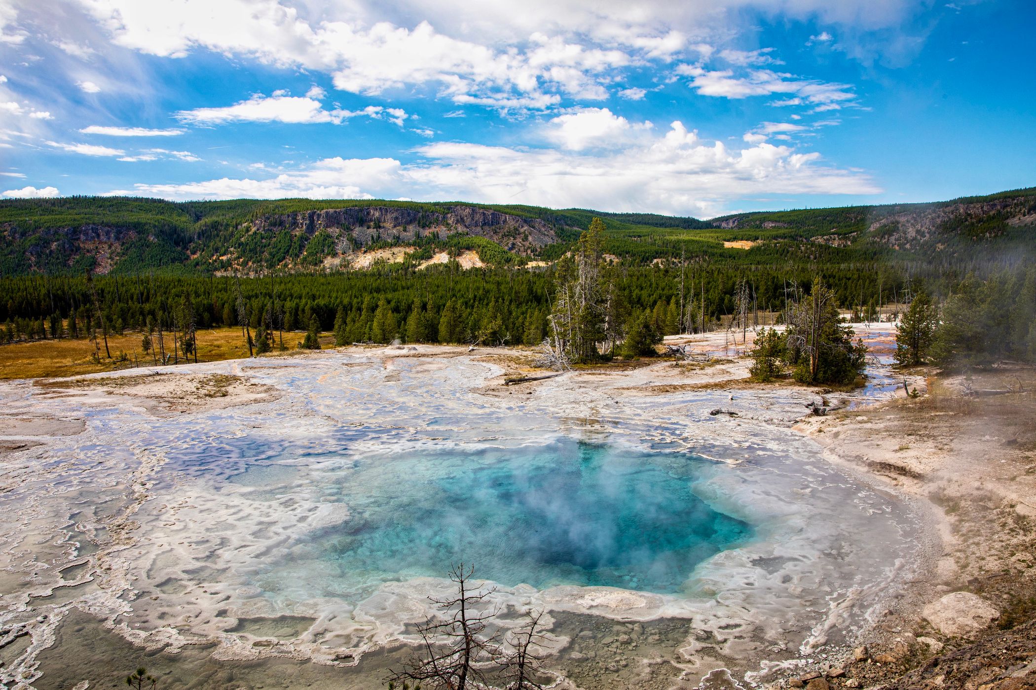 Artemisia Geyser, Yellowstone National Park, USA