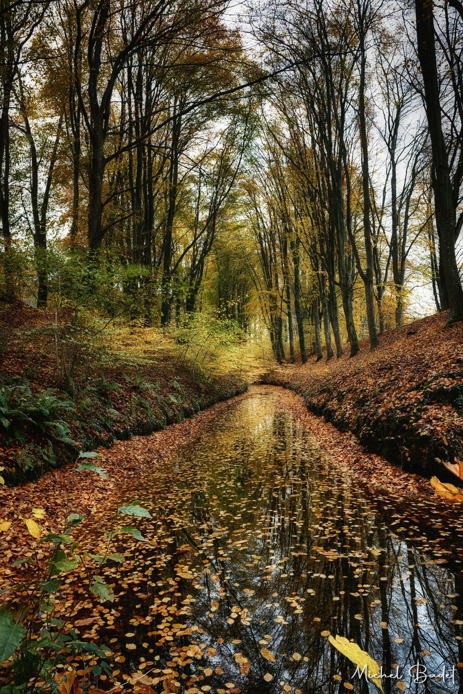 Bazouges-sous-Hédé (35), France