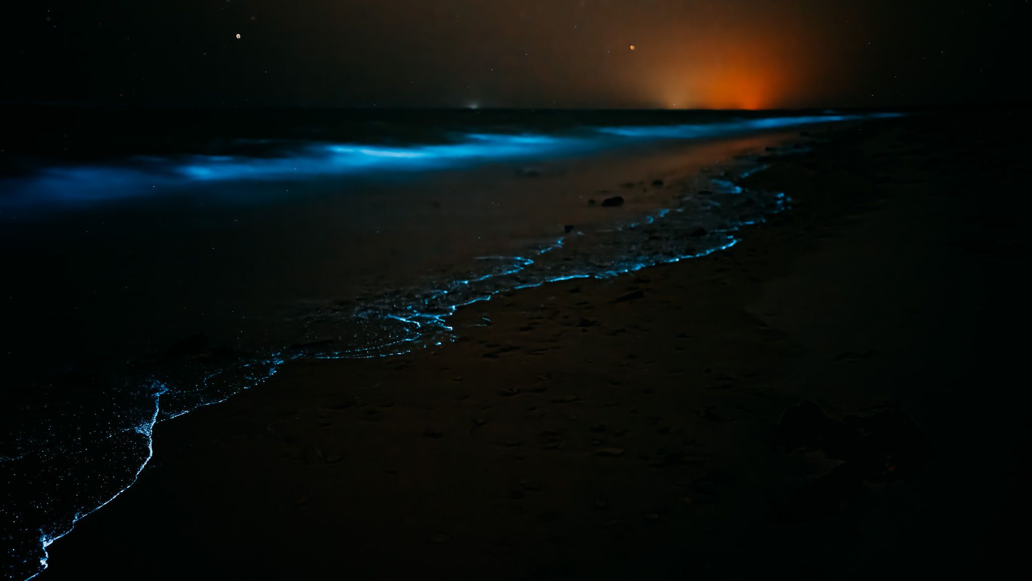 Bioluminescence At Bar Al Hickman, Oman, Oman