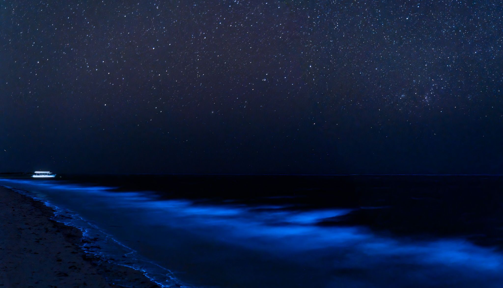 Bioluminescence At Bar Al Hickman, Oman, Oman