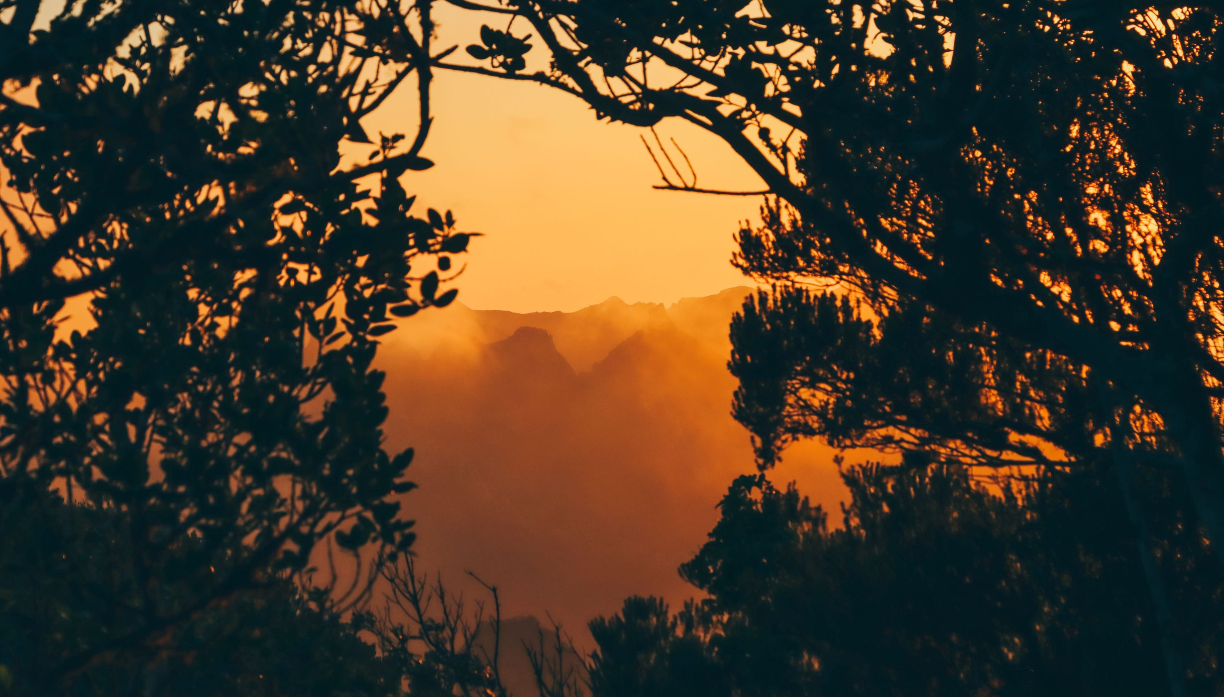 Bosques Anaga TF-123, Spain