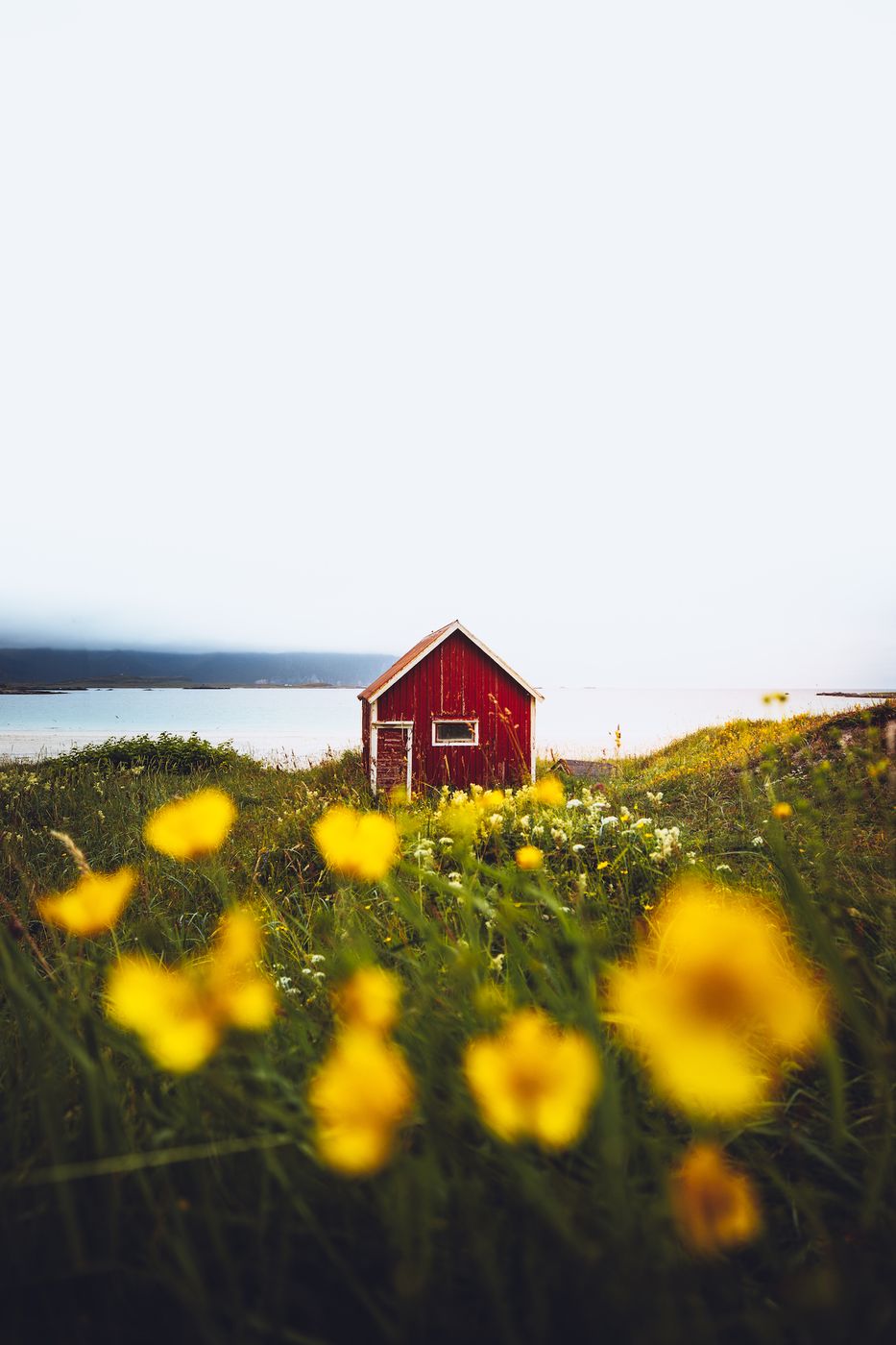 Red hut at Ramberg beach, Lofoten, Norway