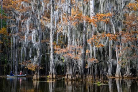 Caddo Lake