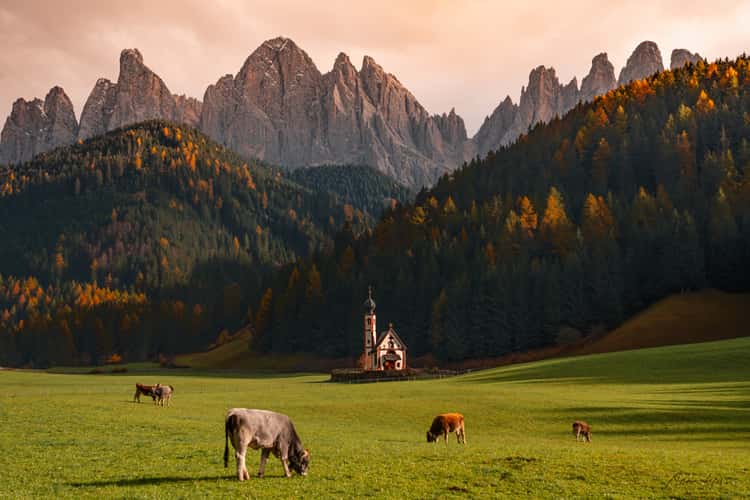 The Church of St. Johann in Ranui