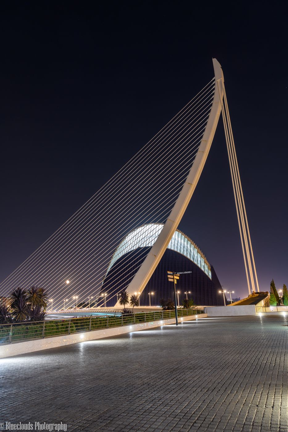 City of Arts & Sciences, Spain