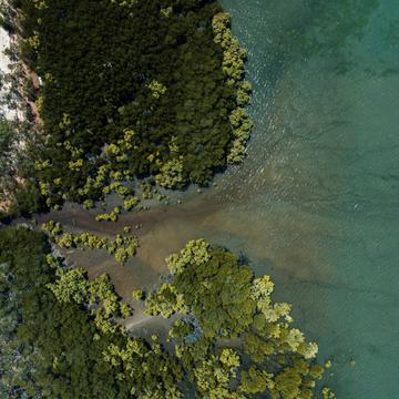 Coastline Magnetic Island [drone], Australia