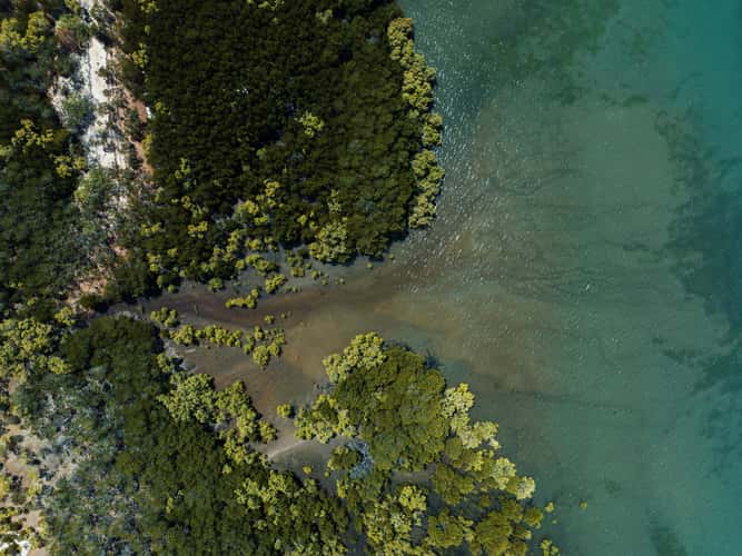 Coastline Magnetic Island